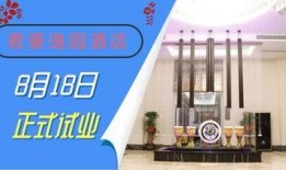 北海饭店爆料视频大全下载,揭秘幕后真相与精彩瞬间